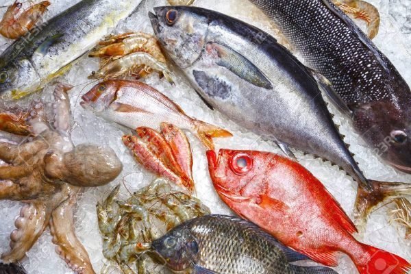 básculas contra agua para carnicería y pescadería